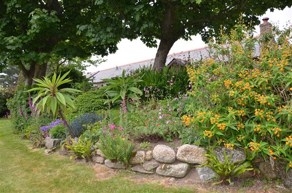 Trevean Garden in Summer
