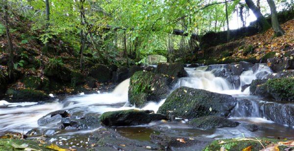 Rathmell Beck