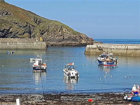 Port Isaac