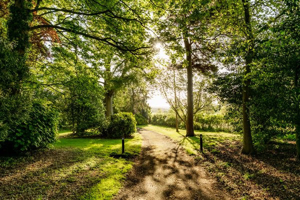 gardens