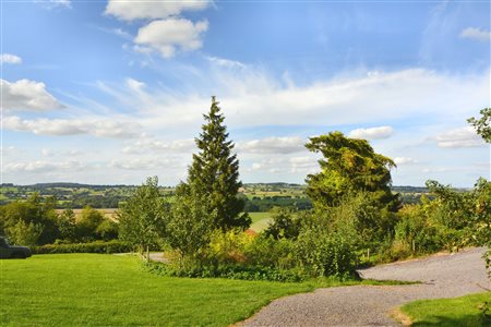 Lower Hill Campsite