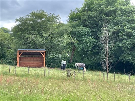 Horses are welcome, too