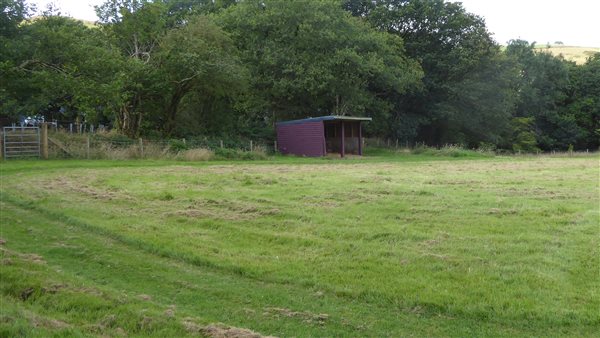 Field horse shelter-Tan yr Allt-Tregaron