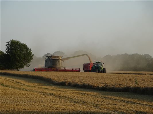 Harvest