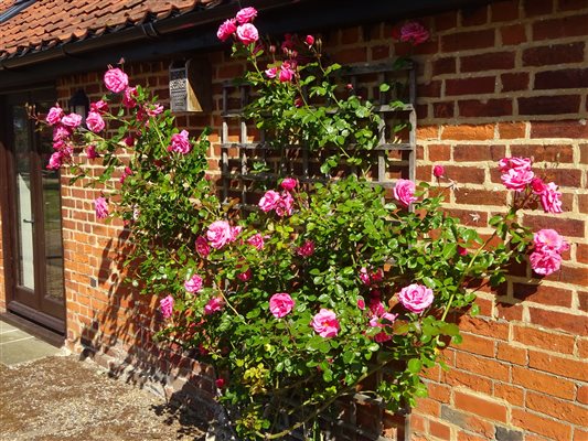 Back door of The Lodge