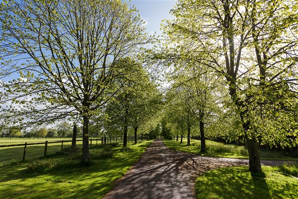 Cadhay drive and lime avenue