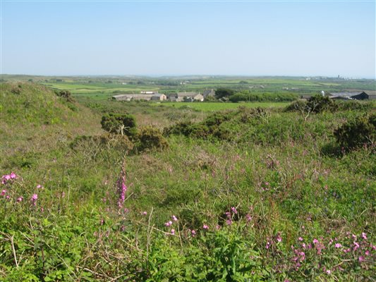 TREDINNEY FARM TAKEN FROM BARTINNEY  HILL