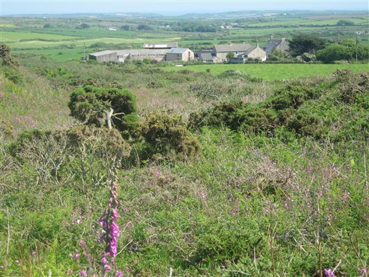 TREDINNEYFARM  TAKEN FROM BARTINNEY HILL