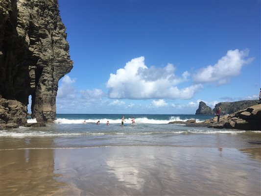 bossiney cove