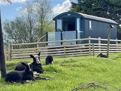 Pencuke Farm Shepherd Huts