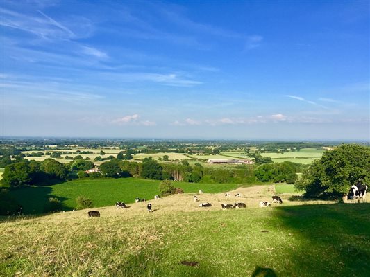 View from Peckforton Hill