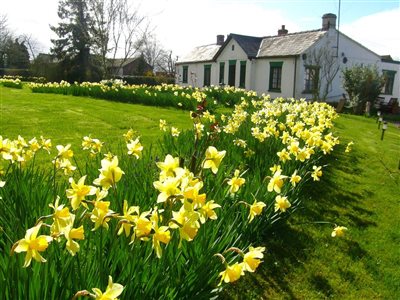 Kilmorie Smallholding