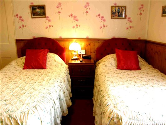 Our twin room with private facilities 