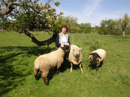 Sheila and the orchard residents!!