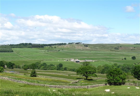 Nidderdale