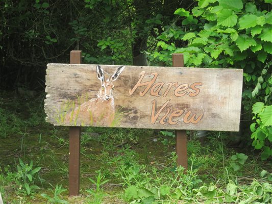 Hares View