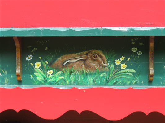 Hares