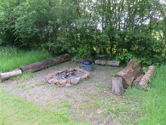 Camp fire