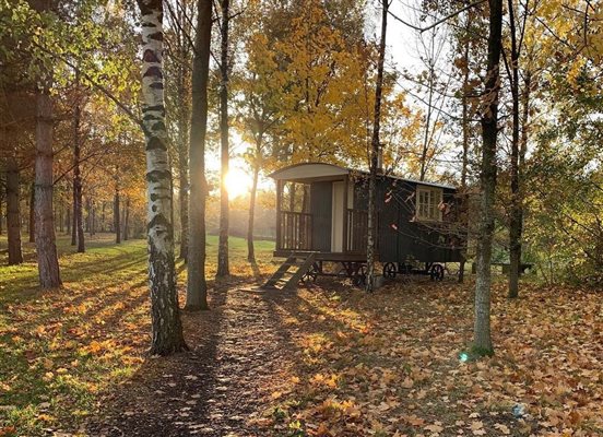 Autumn bliss