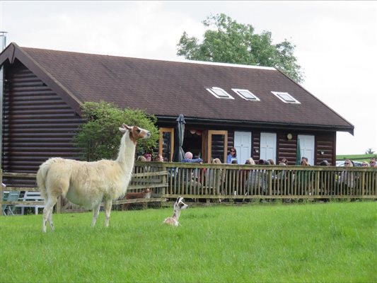 Visitors centre
