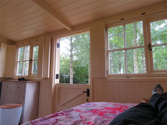 View from the bed