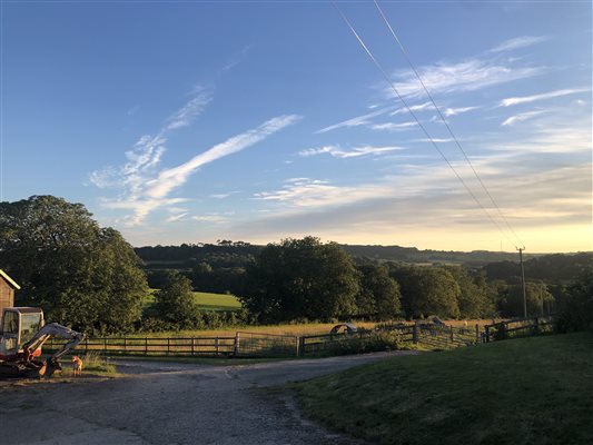 yard views