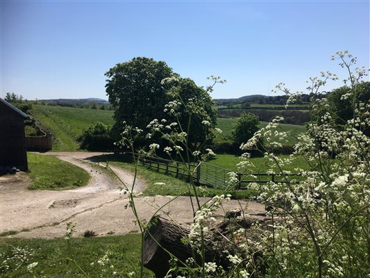 countryside