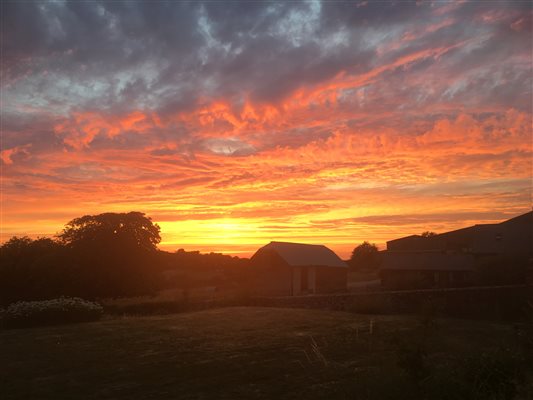 Farm sunset