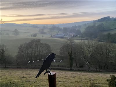 Hicks Farm Holidays