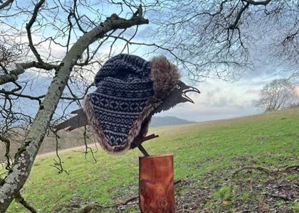 Hicks Farm Holidays