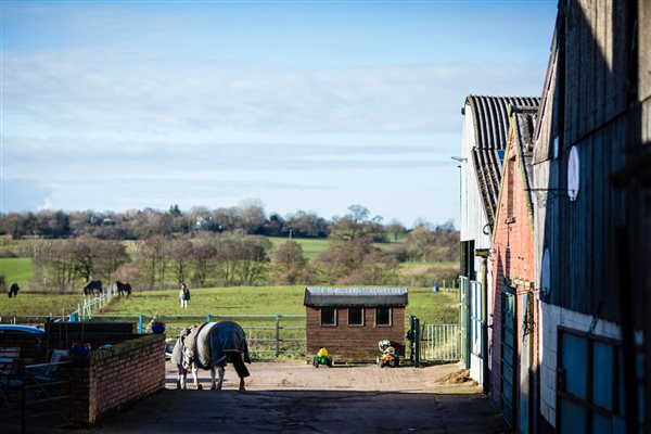 Horse yard