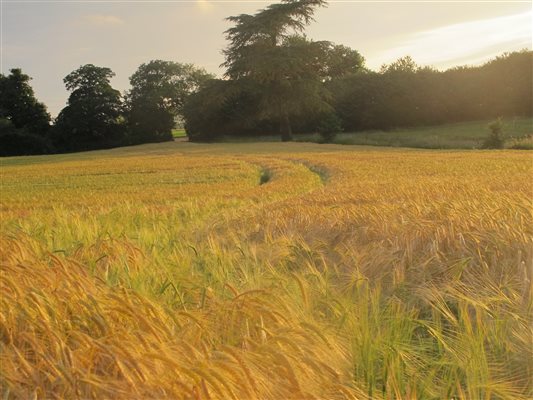 Lovely farm views