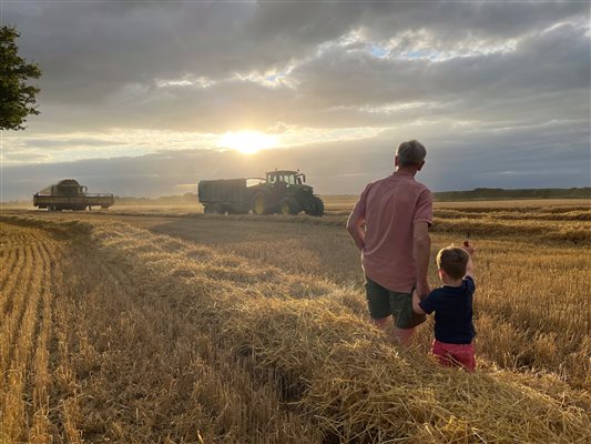 On the farm