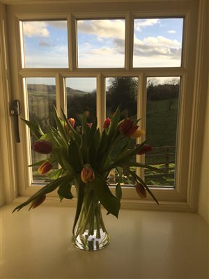 The Granary - Front Window