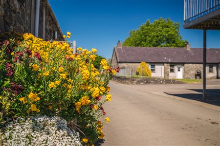 Gwynfryn Farm Holidays
