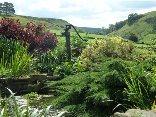 Pond garden with view