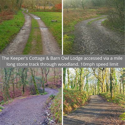 Barn Owl Lodge accessed via mile long stone track through woodland