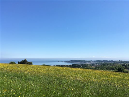 View from Clyne Farm over Swansea Bay