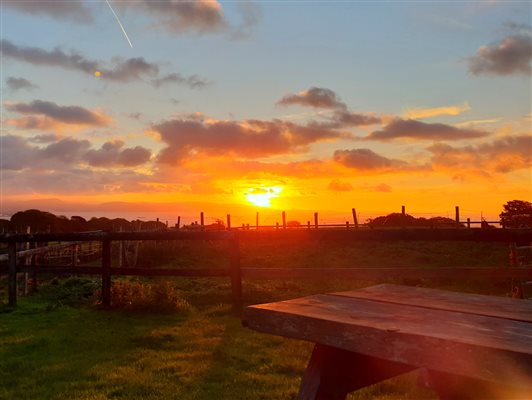 Horseshoe Cottage. Sunrise from the garden