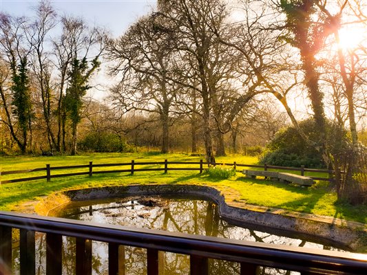 Barn Owl Lodge Pond