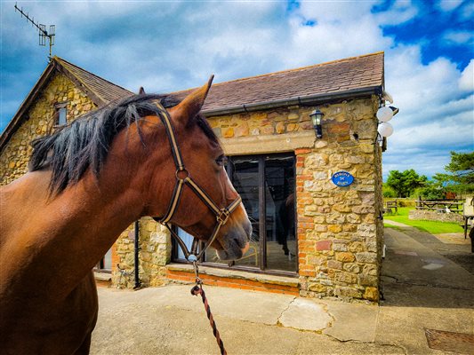 Byron's Barn