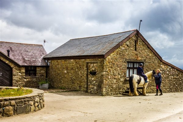 Cottages and Horses