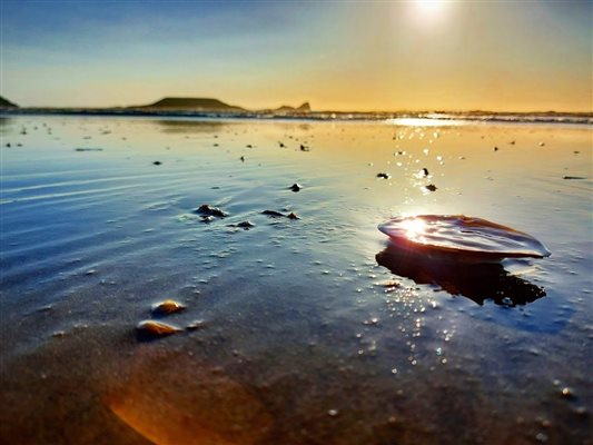 Rhosilli beach