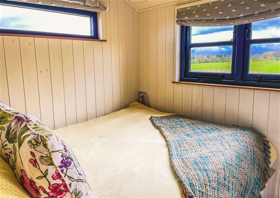 fold down bed