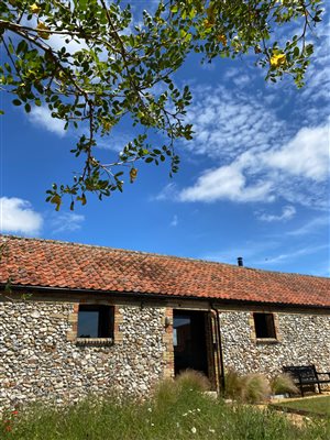 Tack Room Garden