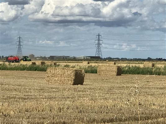 Harvest time