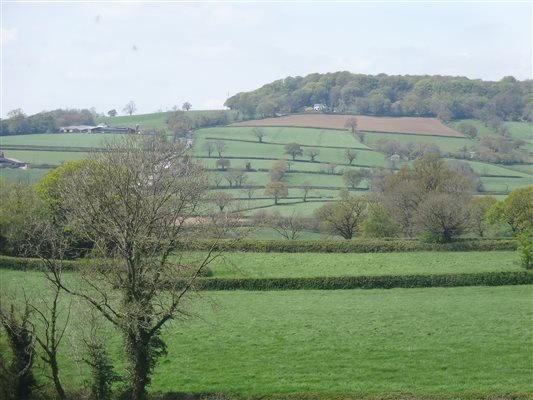 hembury fort