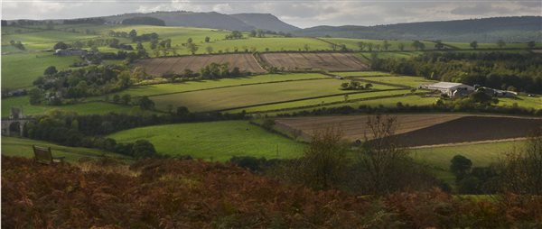 Edlingham Valley