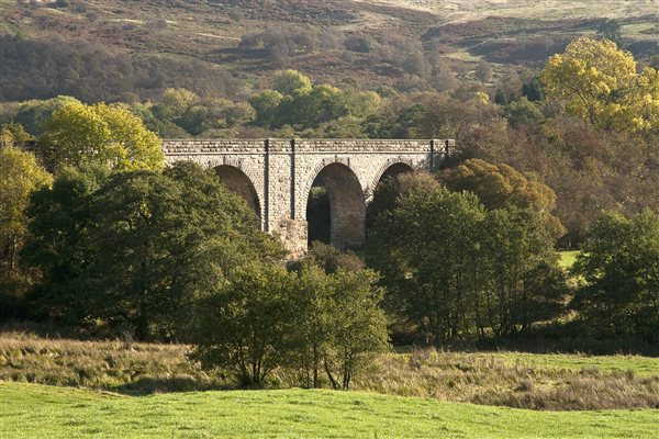 Edlingham Viaduct 2