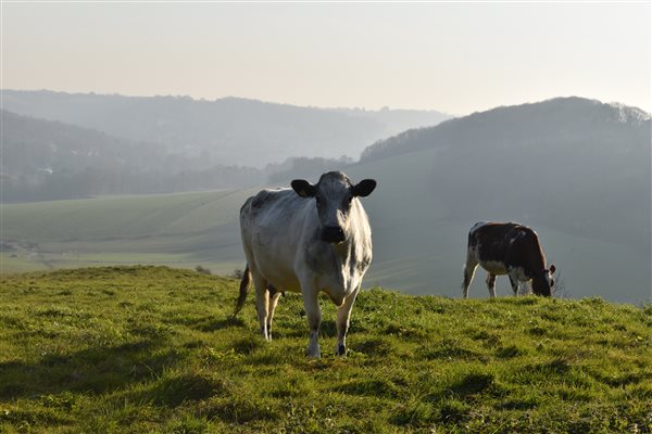 View from the top of the farm